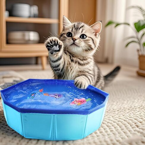 بركة قطط مع الأسماك ، لعبة بركة أسماك قطة أسماك آلية ، 3 أسماك مستشعر ذاتي مع أضواء واضحة ، حصيرة ماء هريرة مقاومة للتسرب للقطط الداخلية ، حمام وممارسة التمرينات ، البلياردو 12 بوصة in Kuwait