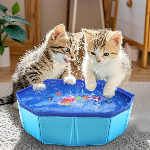 بركة قطط مع الأسماك ، لعبة بركة أسماك قطة أسماك آلية ، 3 أسماك مستشعر ذاتي مع أضواء واضحة ، حصيرة ماء هريرة مقاومة للتسرب للقطط الداخلية ، حمام وممارسة التمرينات ، البلياردو 12 بوصة in Kuwait