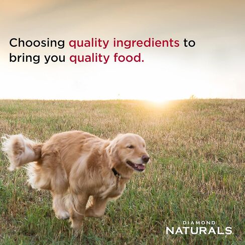 Diamond Naturals All Life Stages Chicken and Rice Formula Dry Dog Food Protein from Real Chicken, and Probiotics 40 Pound (Pack of 1) in Kuwait