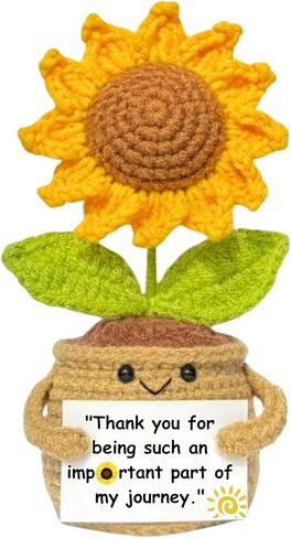 الدعم العاطفي كروشيه زهرة بألوان قوس قزح مع بطاقة التشجيع - هدية زخرفة أفخم مصنوعة يدويًا للمكتب والمكتب والمنزل - هدية مدروسة للنساء والأصدقاء وزملاء العمل in Kuwait