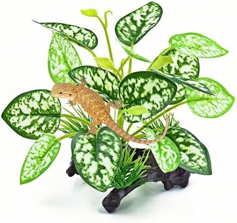 Reptile Artificial Plants, Terrarium Plants Decorations Supplies, Amphibian Habitat Hideout Tank Accessories, Rainforest Ground Plant in Kuwait