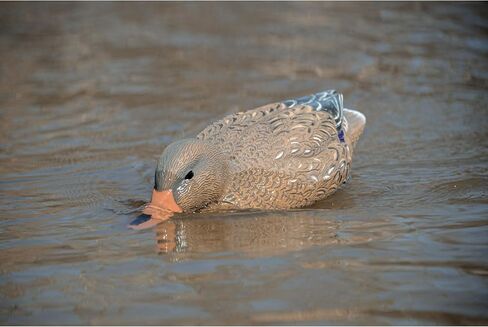 Higdon Outdoors Battleship Swimmer PRO | Motion Waterfowl Decoy in Kuwait