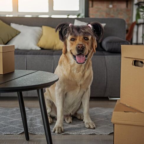 6 أجهزة كمبيوتر شرفة أوزة الزي ، شعر مستعار الشرفة الإسكان ، دور الكلب مضحك دور الباروكة للمساواة في الحديقة أوزة في الحديقة وقطط الحيوانات الأليفة ، الكلاب in Kuwait