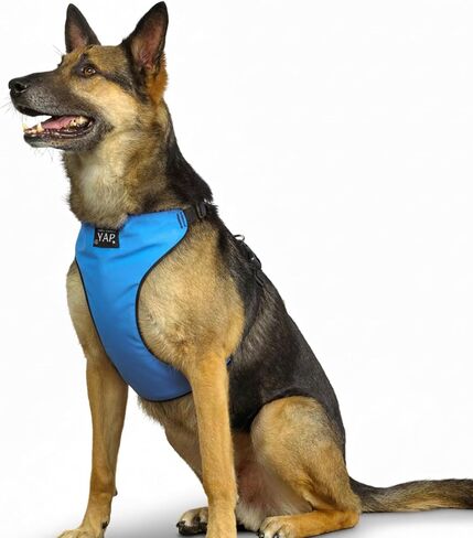 YAP Techno® Anti Pull Harness ، قابلة للتعديل 4 اتجاهات ، تسخير سترة الكلب مع مقبض التحكم السهل ، لا يوجد خنق الكلاب لجميع السلالات ؛ 90-175 رطلا (رويال أرجواني ، كبير جدا) in Saudi Arabia