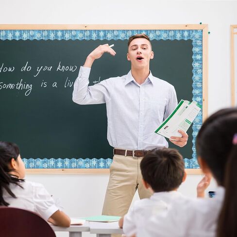 72 Feet Watermelon Bulletin Board Borders Red Green Fruits Borders for Summer Bulletin Board School Classroom Office Party Décoration in Kuwait
