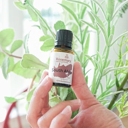 زيت آس الليمون العطري - استمتع برائحة الحمضيات المنعشة والمنعشة - زيت أساسي علاجي نقي وغير مخفف - 5 مل in Kuwait