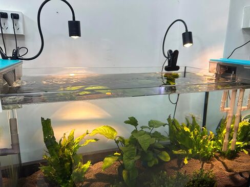 LED aquarium spotlight, stream tank clip spotlight, South American landscaping small water grass light, 4W LED Thunder Dragon lighting, aquarium viewing atmosphere light, native tank landscaping light in Saudi Arabia