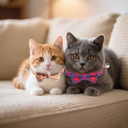 10 PCS CAT CAT CROMAWAY مع ربطة عنق و ROLD HITTEN ROFTEN in Kuwait