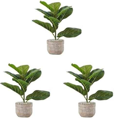 Elements Fiddle Leaf Fig in Embossed Cement Pot for Bathroom Farmhouse Faux Greenery Tabletop Centerpiece Mantel Office Desk Kitchen Decor, 15 inch in Kuwait