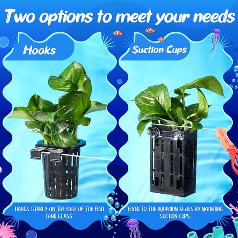 Chunful 12 Set Moarium Plant Plant يحتوي على 12 وعاءًا مائيًا معلقًا مع 72 خطافًا و 24 أكوابًا مجزفًا مائيًا لنباتات حوض الأسماك وزينة Aquascape ، 2 أنماط. in Saudi Arabia