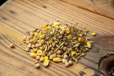 New Country Organics | Classic Layer Feed for Laying Hens | Soy-Free | 17% Protein | Certified Organic and Non-GMO | 25 lbs in Kuwait