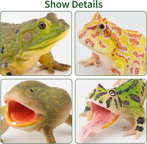 Toymany Madagascar Animal Figurine Toys Set, 12PCS Wildlife Animals with Includes Lemur, Chameleon, Tortoise, Gecko, Fossa, Sifaka -Educational Forest Animal Figure Toy Collection for Kids Adults in Kuwait