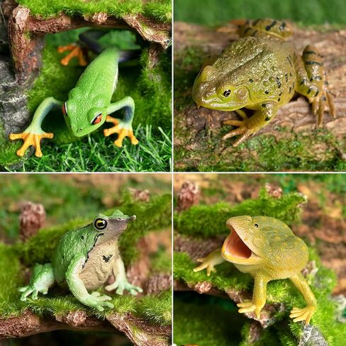 Toymany Madagascar Animal Figurine Toys Set, 12PCS Wildlife Animals with Includes Lemur, Chameleon, Tortoise, Gecko, Fossa, Sifaka -Educational Forest Animal Figure Toy Collection for Kids Adults in Kuwait