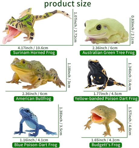 Toymany Madagascar Animal Figurine Toys Set, 12PCS Wildlife Animals with Includes Lemur, Chameleon, Tortoise, Gecko, Fossa, Sifaka -Educational Forest Animal Figure Toy Collection for Kids Adults in Kuwait