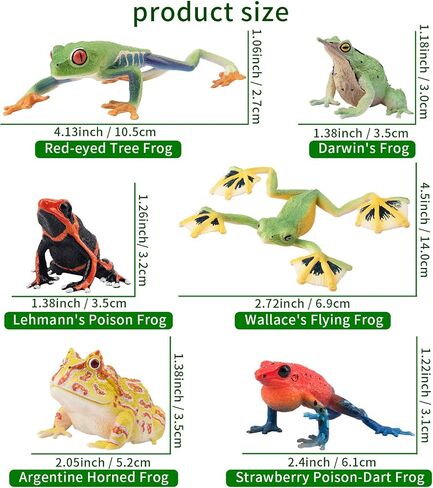 Toymany Madagascar Animal Figurine Toys Set, 12PCS Wildlife Animals with Includes Lemur, Chameleon, Tortoise, Gecko, Fossa, Sifaka -Educational Forest Animal Figure Toy Collection for Kids Adults in Kuwait