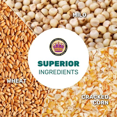 LEACH GRAIN & MILLING CO. Chicken Scratch 5 Lbs, Chicken Feed - High Protein and Fiber - Healthy Whole Grains - Supports Energy & Digestive Health, Natural Food and Supplies for Poultry in Kuwait