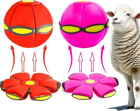 2pcs كرات الأغنام ، لعبة إثراء الماعز للتمرين ، ورعي الماعز كرة الصحن الطائرة للأغنام ، وكرة التدريب التفاعلية للعب ، وتقليل الإجهاد الملل (الأحمر والأخضر) in Kuwait