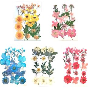 Dried Pressed Flowers，80 Pcs Real Pressed Flowers Dry Leaves Bulk Natural Herbs Kit for Scrapbooking DIY Art Crafts, Epoxy Resin Jewelry, Candle, Soap Making, Nails Décor (1)