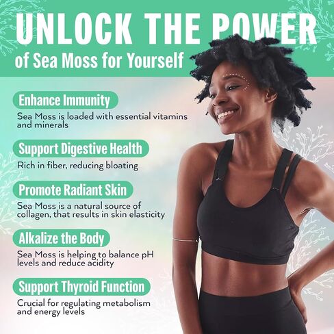 Biolore Sea Moss Gel Elderberry 16Oz Made in USA Supercharge Your Health Raw Wildcrafted Irish Seamoss - Essential Vitamins & Minerals - Antioxidant-Rich Vegan Superfood for Immune Support in Saudi Arabia