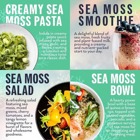Biolore Sea Moss Gel Elderberry 16Oz Made in USA Supercharge Your Health Raw Wildcrafted Irish Seamoss - Essential Vitamins & Minerals - Antioxidant-Rich Vegan Superfood for Immune Support in Saudi Arabia