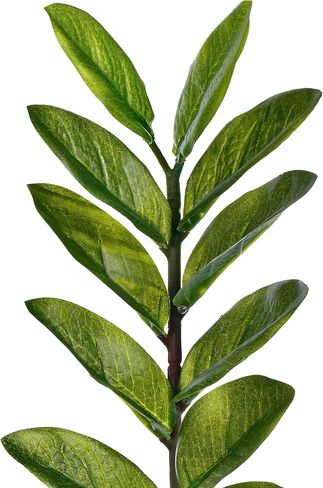 Vickerman 43'' Potted Green Zamifolia - Artificial Plant with 220 Leaves - Indoor Plant Decor - Comes in a Black Plastic Insertable Pot - Faux Houseplants - Plants for Living Room in Saudi Arabia