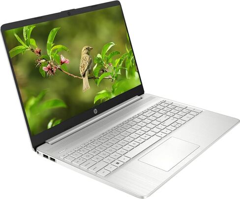 كمبيوتر محمول HP Premium 15 بوصة HD Micro-Edge IPS، معالج Intel i3 يصل إلى 3.40 جيجا هرتز، ذاكرة الوصول العشوائي DDR4 سعة 12 جيجابايت، SSD 128 جيجابايت، الجيل السادس WiFi، كاميرا ويب، HDMI، RJ-45، Windows 11، فضي قطبي (متجدد) in Saudi Arabia