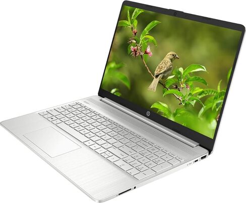 كمبيوتر محمول HP Premium 15 بوصة HD Micro-Edge IPS، معالج Intel i3 يصل إلى 3.40 جيجا هرتز، ذاكرة الوصول العشوائي DDR4 سعة 12 جيجابايت، SSD 128 جيجابايت، الجيل السادس WiFi، كاميرا ويب، HDMI، RJ-45، Windows 11، فضي قطبي (متجدد) in Saudi Arabia