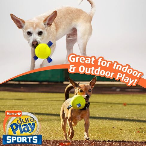 Hartz New Dura Play Sports Baseball Dog Toy, Bacon Scented Squeaky Latex Yellow & Blue Toy, 1 Count in Saudi Arabia