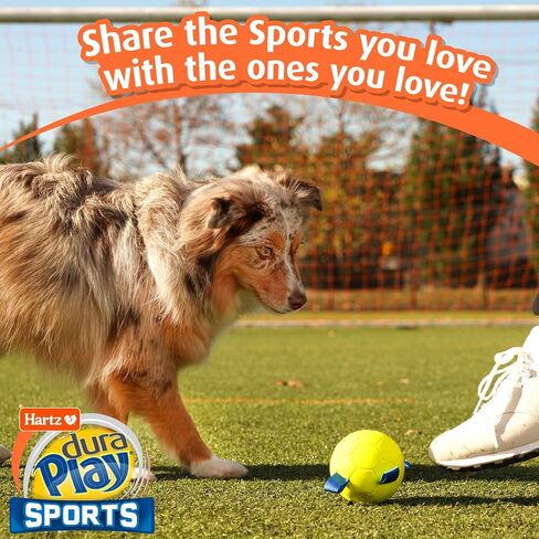 Hartz New Dura Play Sports Baseball Dog Toy, Bacon Scented Squeaky Latex Yellow & Blue Toy, 1 Count in Saudi Arabia