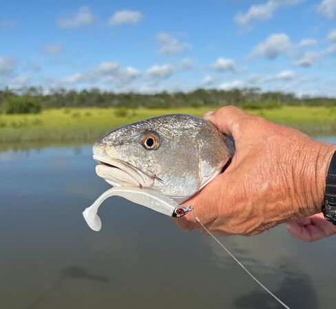 Jig Heads Pack of 5 - Fishing Jigs with Super Sharp Black Nickel Hooks - Double Locking Bait Stays & Multi-Color Eyes - Perfect for Freshwater & Saltwater Fishing in Saudi Arabia