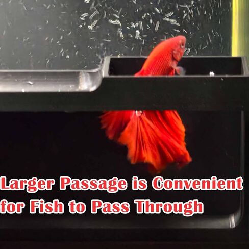 نفق السمك الروبيان السمك ، الروبيان الأسماك إخفاء كهف لزخارف ملحقات خزان السمك in Kuwait