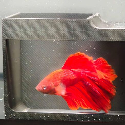 نفق السمك الروبيان السمك ، الروبيان الأسماك إخفاء كهف لزخارف ملحقات خزان السمك in Kuwait