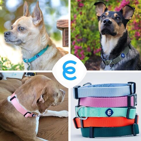 Blueberry Pet Essentials Matching Large Dog Collar | Adjustable Classic Solid Color Nylon Dog Collars for Large Dogs | Verdant Green Dog Collar for Large Dogs in Kuwait