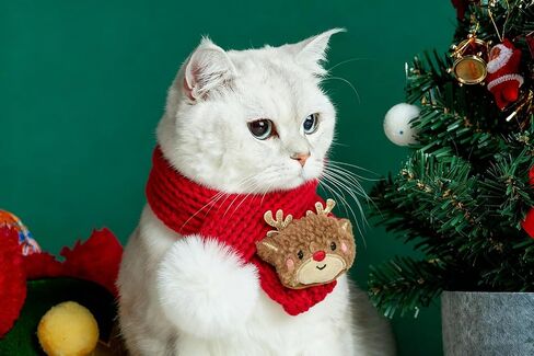 3 قطع من ألعاب القطط للكريسماس، ألعاب القطط القطيفة لعيد الميلاد، سانتا كلوز، شجرة رجل الثلج، ألعاب المضغ التفاعلية للقطط in Kuwait