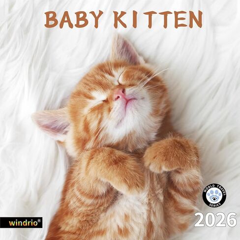 Windrio 2026 التقويم الحائط ، التقويم 2026 ، يوليو 2025 - ديسمبر 2026 ، جدران جرو تشيهواهوا ، 12 "× 24" تم فتحه ، شهور كاملة من الورق السميك والقوي لتنظيم وتخطيط التقويم in Kuwait