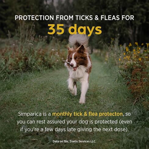 Simparica (Sarolaner) Chewables for Dogs ، 80 mg/tab ، 44.1-88 رطل (أخضر) ، 6 أقراص in Saudi Arabia