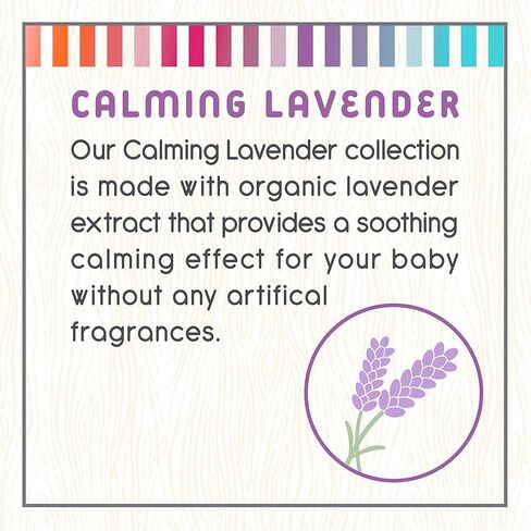 Little Twig All Natural, Hypoallergenic Baby Shampoo, Calming Lavender Scent, 2 Ounce Bottle in Saudi Arabia