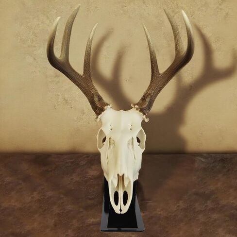 European Mount Skull Hanger, Deer Hanger, 4 Pack 4.1"x1.4" Skull Mount Hanger for Deer Mule Antelope Coyote and Small Game Animals, Sturdy and Strong, Easy to Mount, Indoor or Outdoor Use in Kuwait
