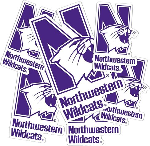 Desert Cactus Northwestern University Wildcats Sticker Vinyl Scals Laptop Gater Bottle Scrapbook T3 (Type 3-1) in Saudi Arabia