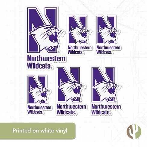 Desert Cactus Northwestern University Wildcats Sticker Vinyl Scals Laptop Gater Bottle Scrapbook T3 (Type 3-1) in Saudi Arabia
