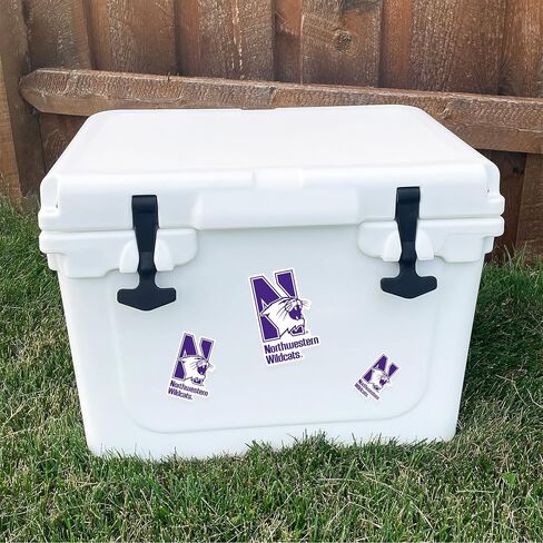 Desert Cactus Northwestern University Wildcats Sticker Vinyl Scals Laptop Gater Bottle Scrapbook T3 (Type 3-1) in Saudi Arabia