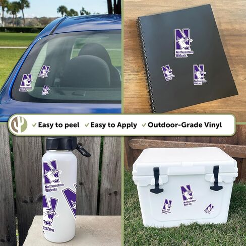 Desert Cactus Northwestern University Wildcats Sticker Vinyl Scals Laptop Gater Bottle Scrapbook T3 (Type 3-1) in Saudi Arabia