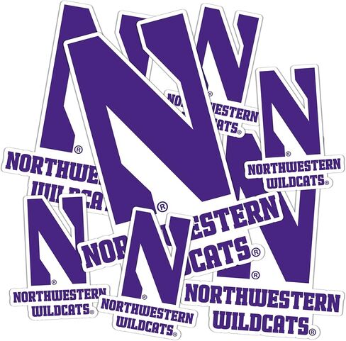 Desert Cactus Northwestern University Wildcats Sticker Vinyl Decals Laptop Water Bottle Car Scrapbook T3 (Type 3-1) in Saudi Arabia