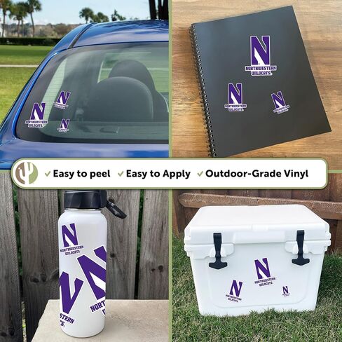 Desert Cactus Northwestern University Wildcats Sticker Vinyl Decals Laptop Water Bottle Car Scrapbook T3 (Type 3-1) in Saudi Arabia