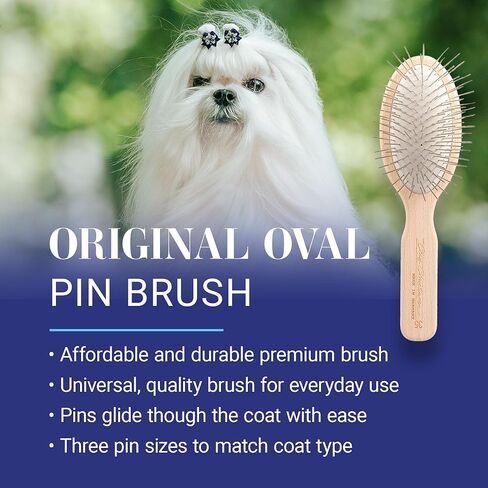 Chris Christensen 20 mm Oval Pin Dog Brush, Original Series, Groom Like a Professional, Stainless Steel Pins, Lightweight Beech Wood Body, Ground and Polished Tips in Kuwait