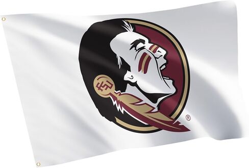 Desert Cactus Florida University FSU Flag - 3 × 5 أقدام لافتة Seminoles ، النسيج المتين الداخلي/الخارجي ، تصميم البوليستر 100 ٪ (النمط C) in Saudi Arabia