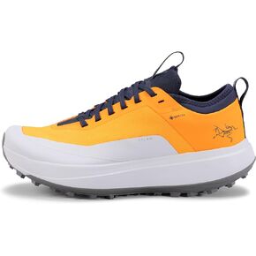 Arc'teryx Sylan GTX Shoe Women's | Gore-Tex Mountain Running Shoe Built for Speed