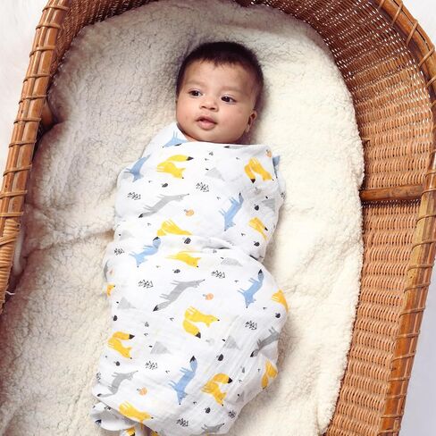 Featherhead ™ 100 ٪ Cotton Masslin Plants for Baby Girl - Large 47 "× 47" - هدية مسبقة قبل الغسيل والنيط in Kuwait