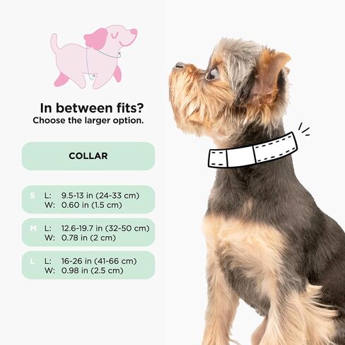 Dog Collar Harry Potter™ - S, Adjustable, Durable, Comfortable and Stylish Pet Accessories for Small Dogs - Officially Licensed in Kuwait