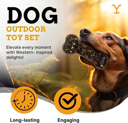 Mean Girls Official Merchandise | Dog Toy Set Includes Squeaky Balls, Frisbee Disc and a Chew Toy Circle Donut in Saudi Arabia